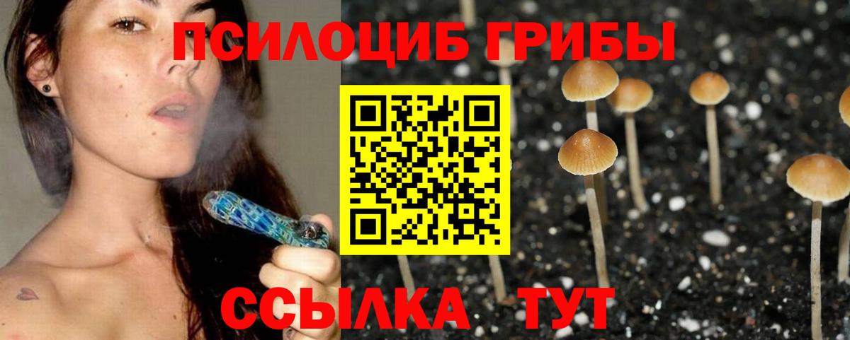 Псилоцибиновые грибы MAGIC MUSHROOMS  Галлюциногенные грибы мицелий  Артём  Вход с VPN 